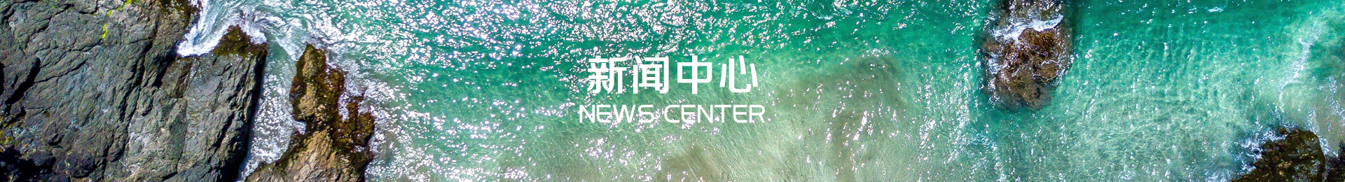 新闻资讯